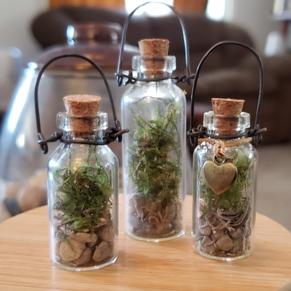 Mini terrariums ~ dried moss hanging terrarium in miniature bottles (5 & 10 mL)